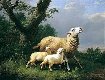 unknow artist Sheep 074 oil painting picture